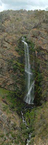 Pieman Falls